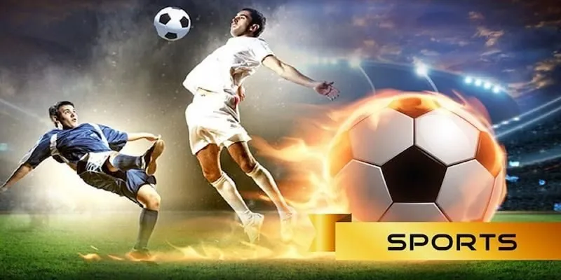 Crown Sports - Sảnh Cược Trả Thưởng Hấp Dẫn Nhất Tại Sin88 4 Điểm danh các mẹo cược thành công tại sảnh Crown